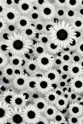 Shabby Chic Blooms: Monochrome Daisy iPhone Cases with Hyperrealistic Texture